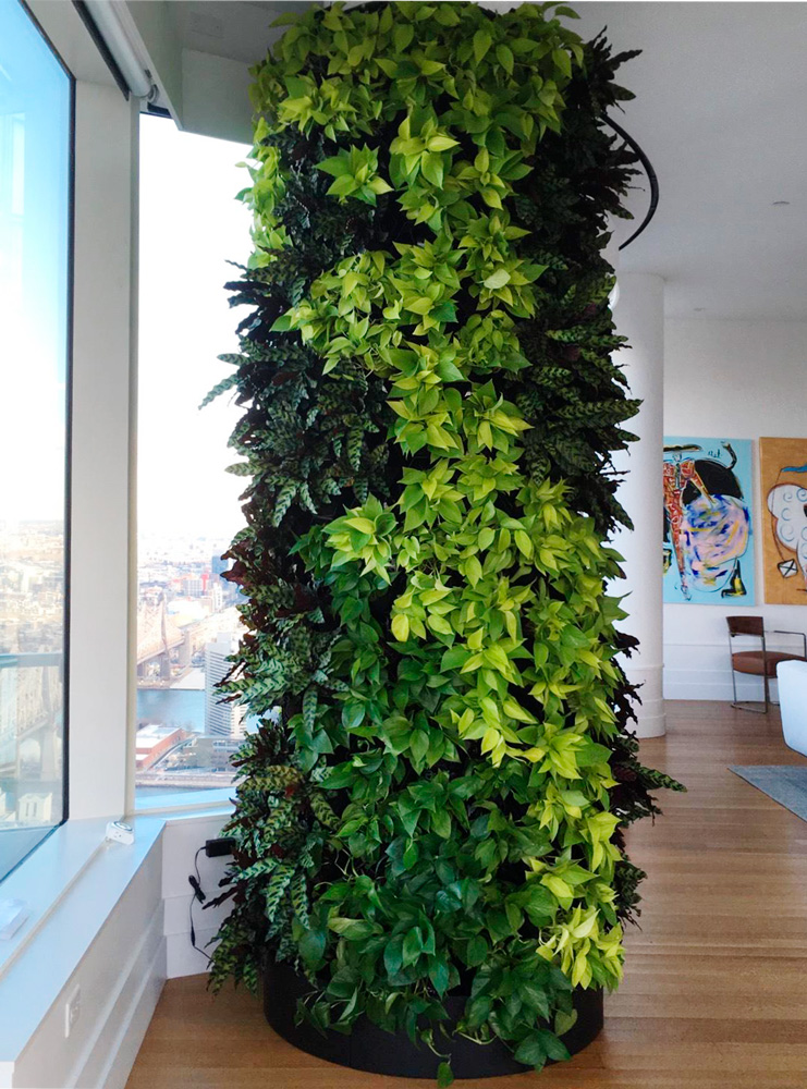 Column Vicinity Greenwall