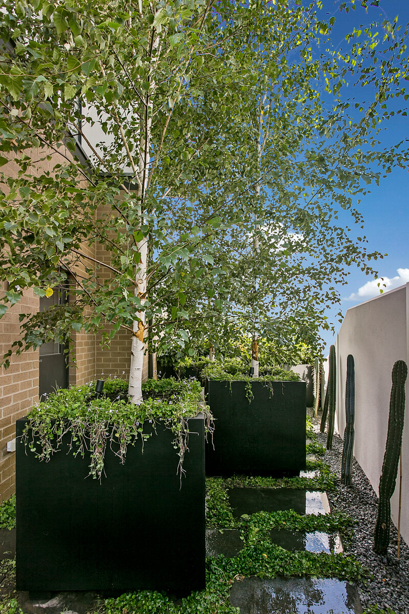 Topline Lightweight Black Cube Planters