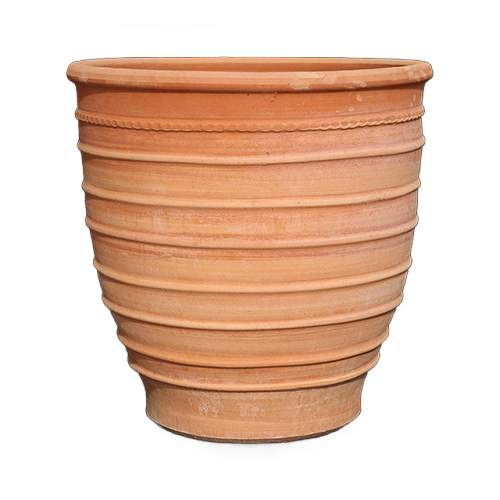 Exara Pot